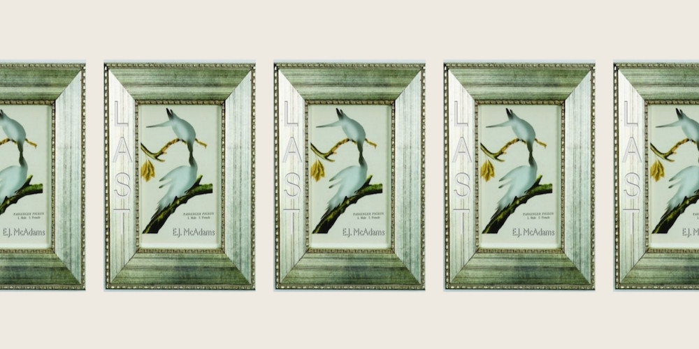 Writing Alumnus E.J. McAdams ’98 Publishes New Ecopoetic Collection School of the Arts